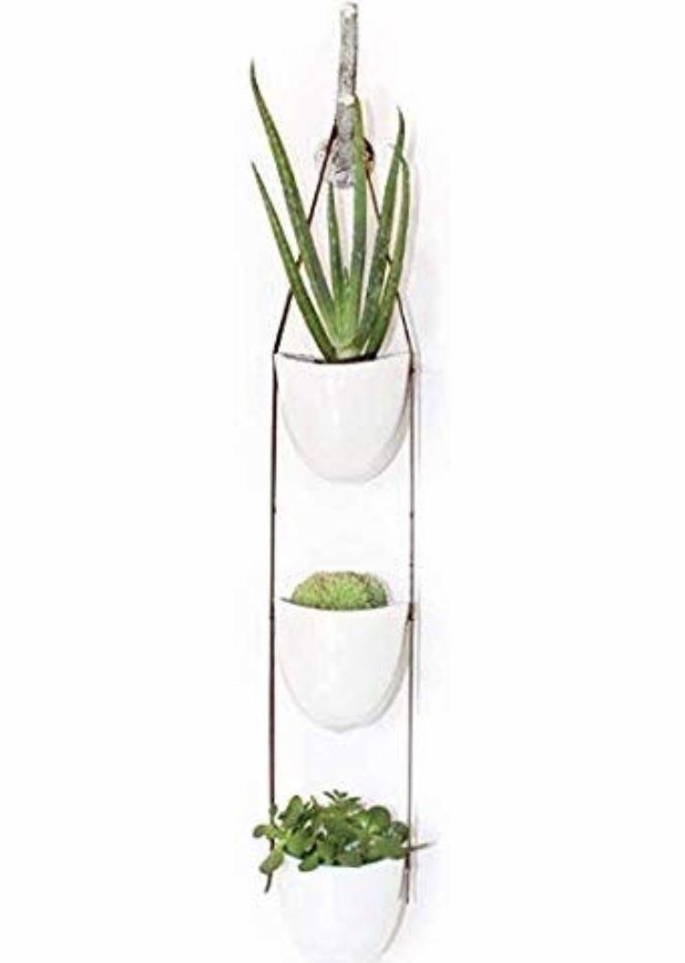 Hanging planter succulent cactus flower pots