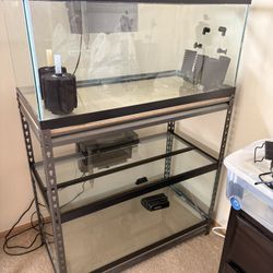 40 Gallon Tanks Set Up With Filters And Accessories 