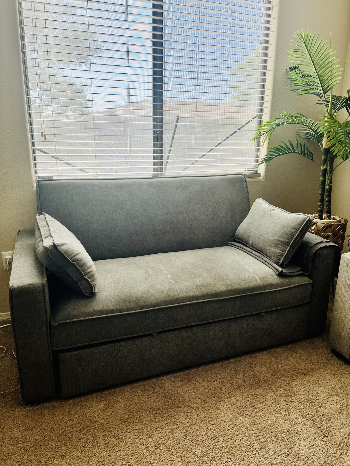 Sofa Bed
