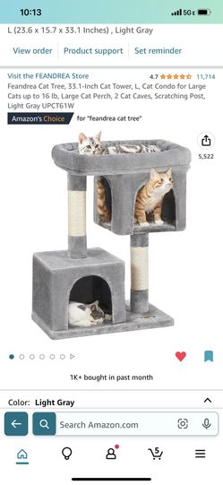 Cat Perch