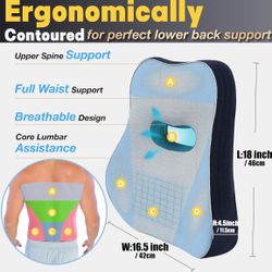 🪑 Brand‑New Memory Foam Lumbar Support Pillow – Gray & Navy