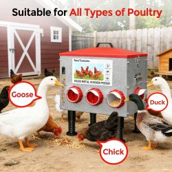 Automatic chicken feeder