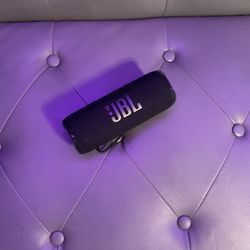 JBL Flip 6