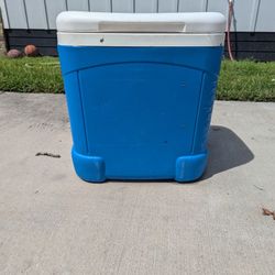 Igloo Cooler 