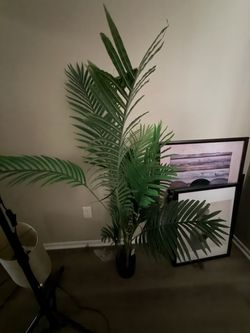 Large Artificial Palm Tree