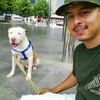 Hector