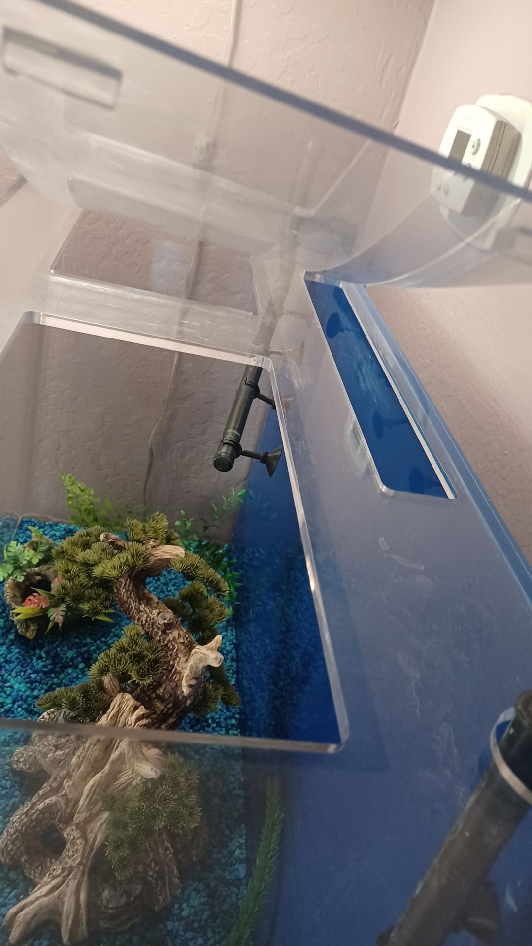Aquarium With Stand for Sale in Henderson, NV OfferUp