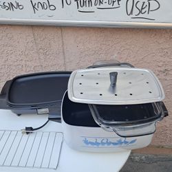 Sliding Vooker Electric  Vintage Goose