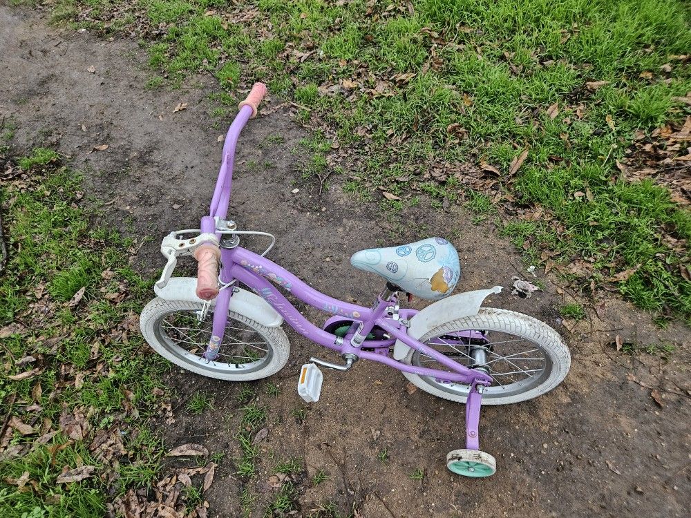 Little Kids Bike