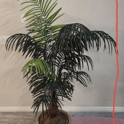 Artificial Tree Plant