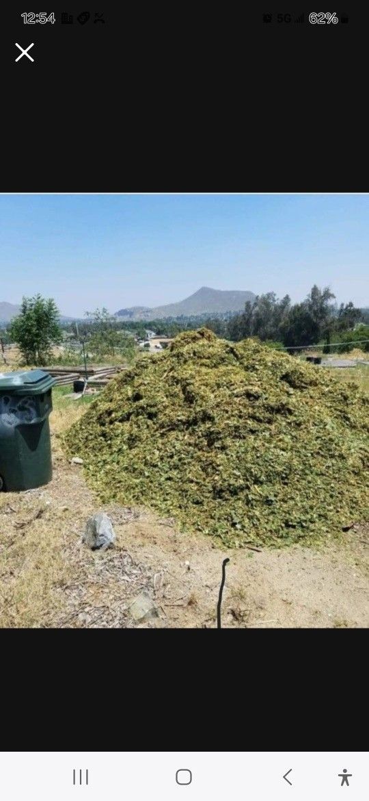 Mulch