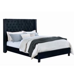 Queen Size Black Channel  Tufted Bed W Ortho Mattress 