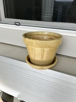 Plant Pot