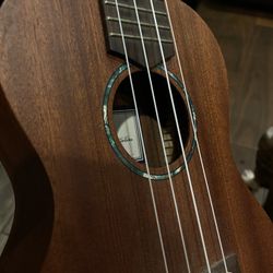 Ukulele 