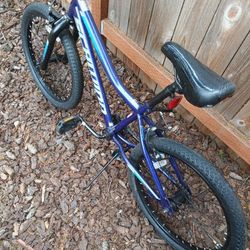 20 Schwinn bMX Style Bike