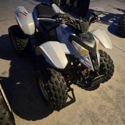 Polaris Predator 50cc 