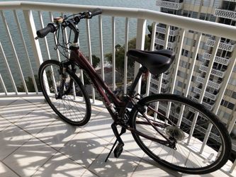 Active Cannondale Fitness Bike “ Get that round booty cycling!”