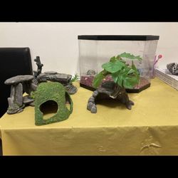 Aquarium Accessories 
