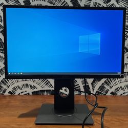 Dell LED Computer Monitor 
