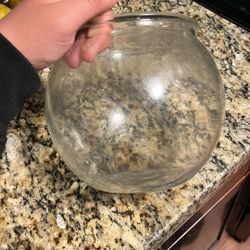 Fish Bowl