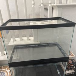 10 Gallon Fish Tank