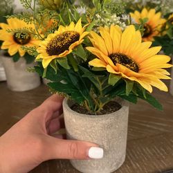 Potted Artificial Sunflowers - 6 Pieces
