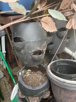 Free Strawberry / Herb / Garden Pits