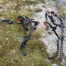3m Protecta Safety Harness