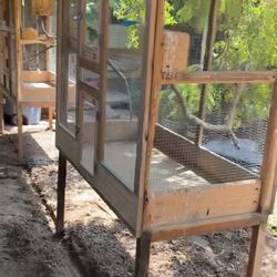 Big Bird Cage 