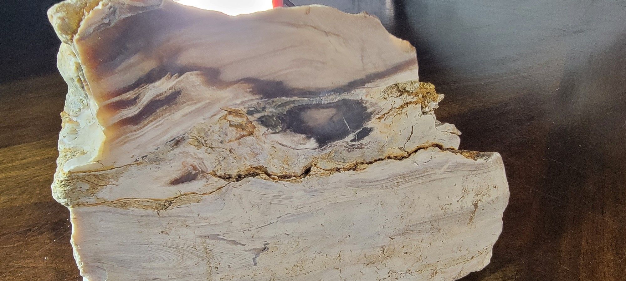 Ancient Two-Texture Rock – From the Dinosaur Era 🦖