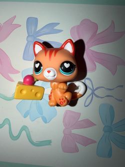 Orange cat lps with cheesecake