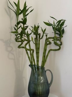 9 bamboo stalks