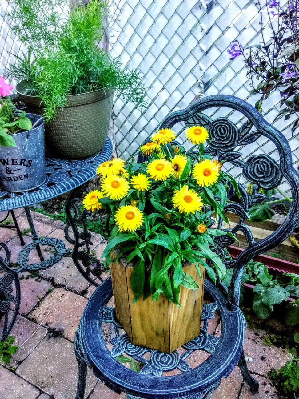 Wood Pot of Yellow Flowers