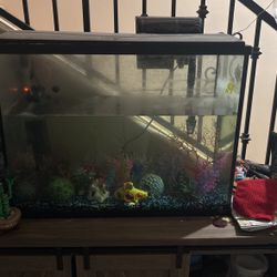 35 Gallon Aquarium 