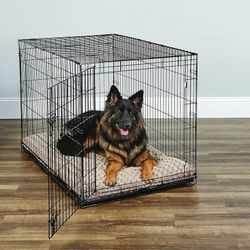 Dog Crates for Extra Large Dogs - XXL Dog Crate 48" Pet Cage Double-Door Best for Big Pets - Wire Metal Kennel Cage & Tray - in-Door