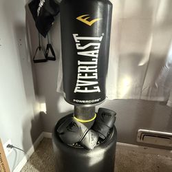 Punching Bag With Gloves $150