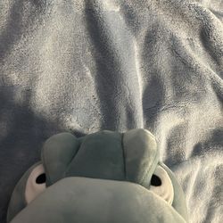 Big Dinosaur Plush