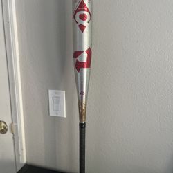 Great Condition Baseball Bat