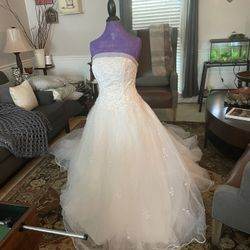 Wedding Dress (like New)