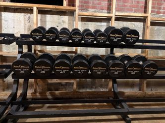 Gym equipment