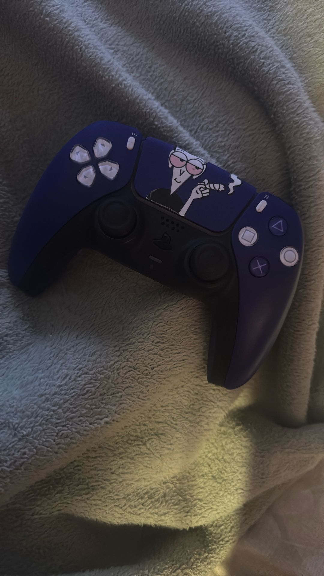 Custom Ps5 DualShock Remote