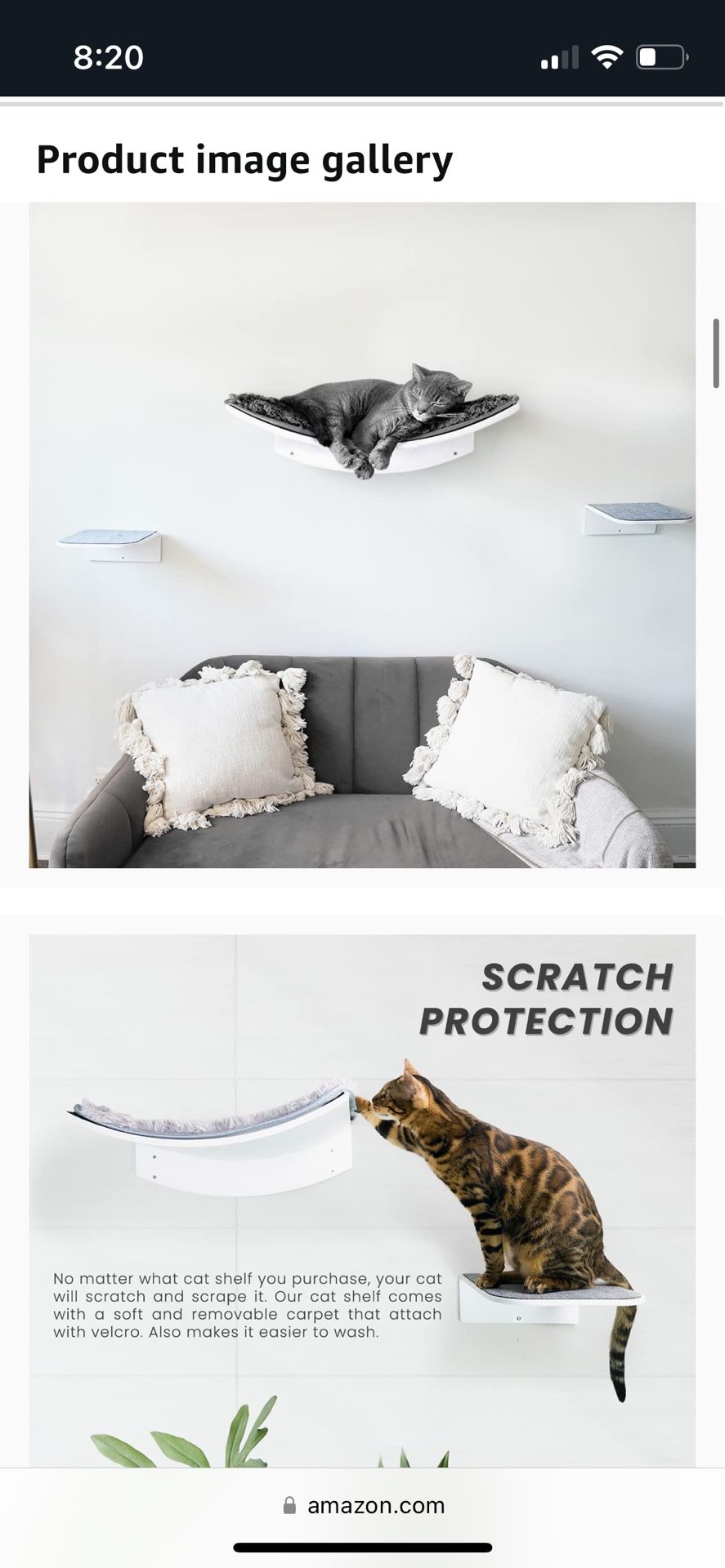 Mounted Cat Lounger