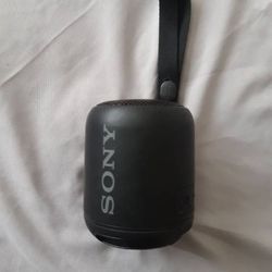 Sony Portable Bluetooth Speaker 