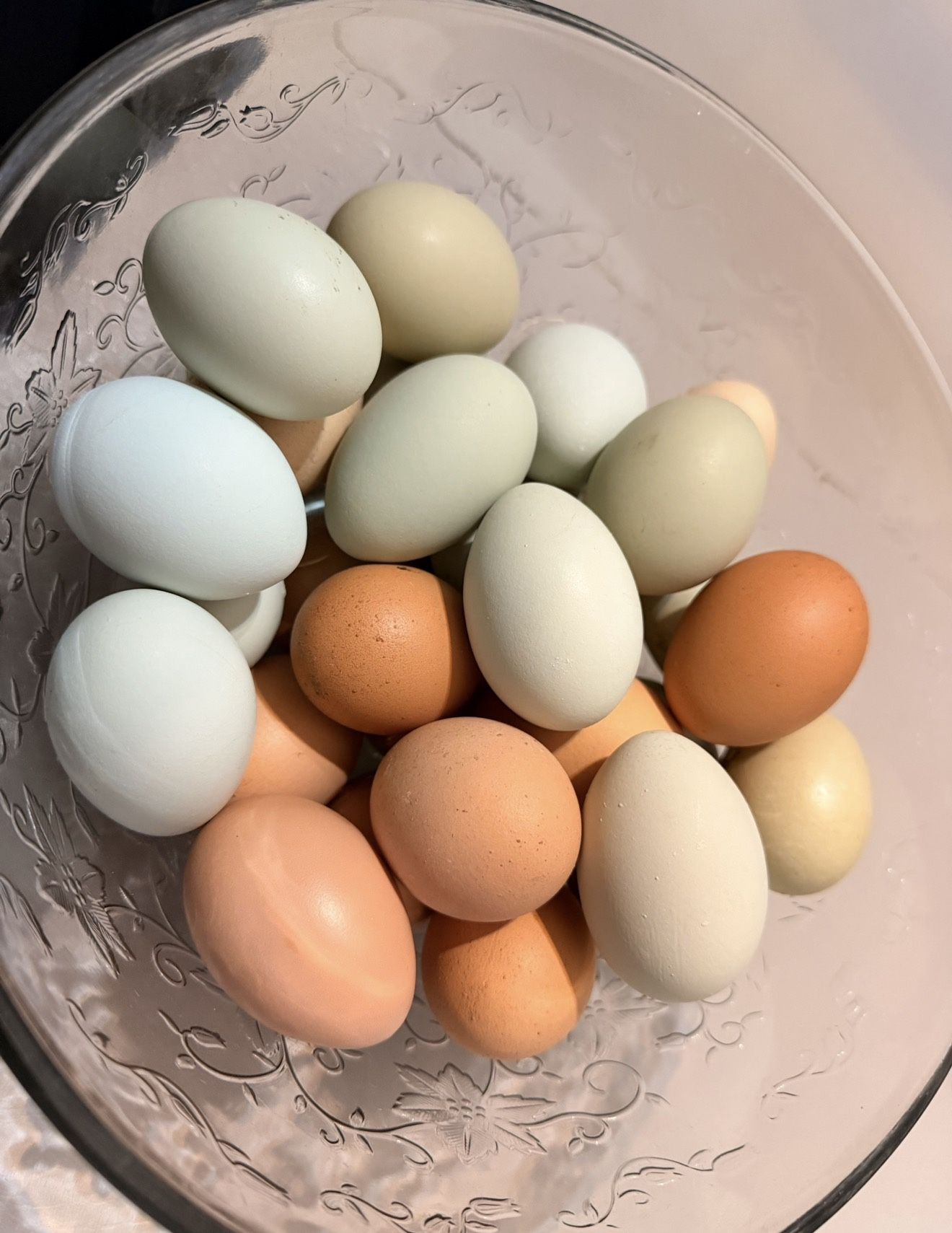 Fresh Eggs