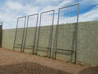 Set of 4 ready for Delivery.