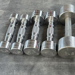 Chrome Dumbbell Weights