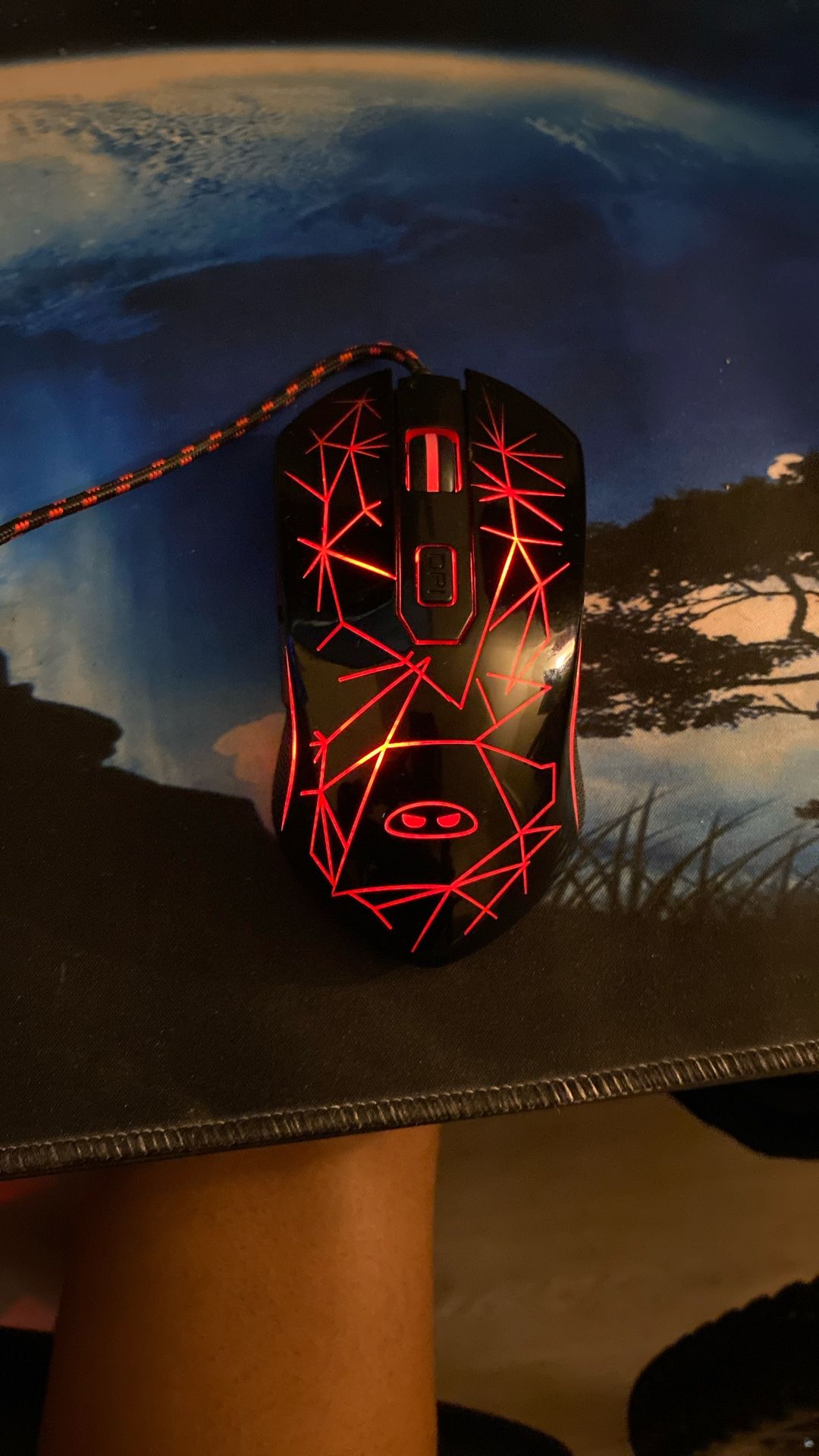 This Mouse Works Good It Doesn’t