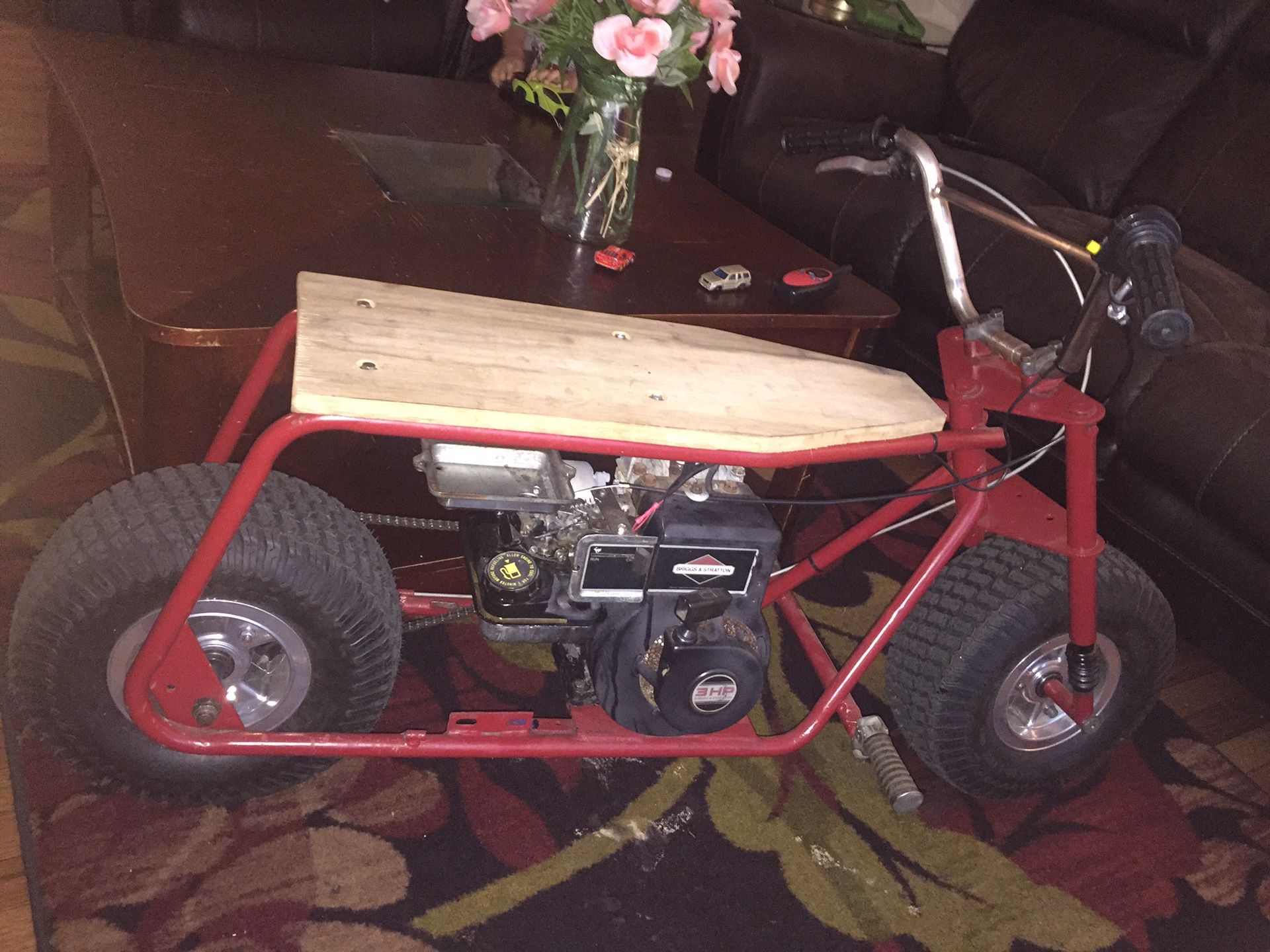 Briggs and Stratton mini bike