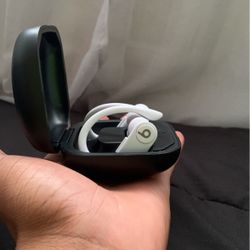 Apple Beats Powerbeats Pro