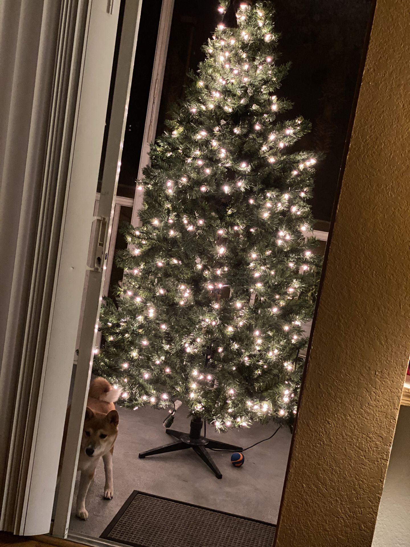 Christmas Tree (7 Feet & With Lights)